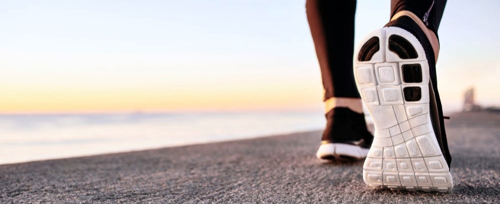 SANFIT ENTREAMIENTOS